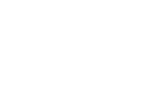 silen-white-logo